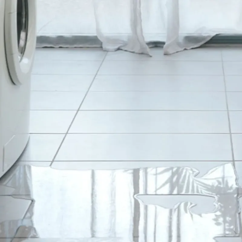 Appliance Leak Cleanup in Sutton, WV