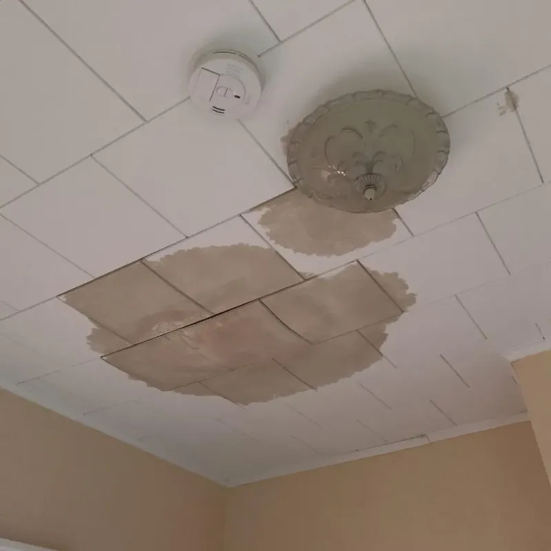Ceiling Water Damage Repair in Sutton, WV