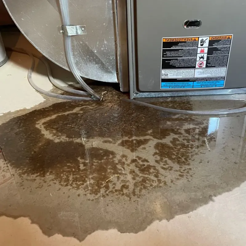 Pipe Burst and Leak Restoration in Sutton, WV