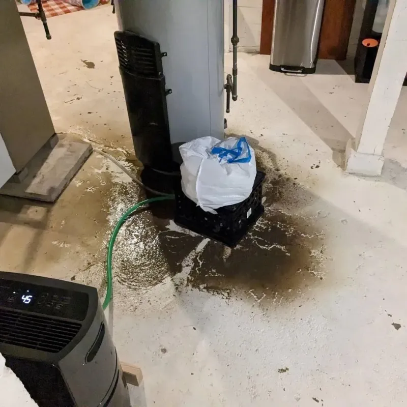 Sewage Backup Cleanup Service in Sutton, WV